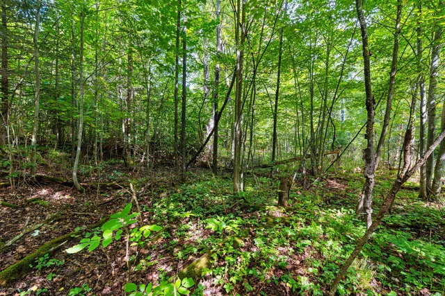 $136,000 | 0 Double Bend Road, Argonne, WI 54511