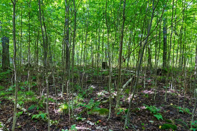 $136,000 | 0 Double Bend Road, Argonne, WI 54511