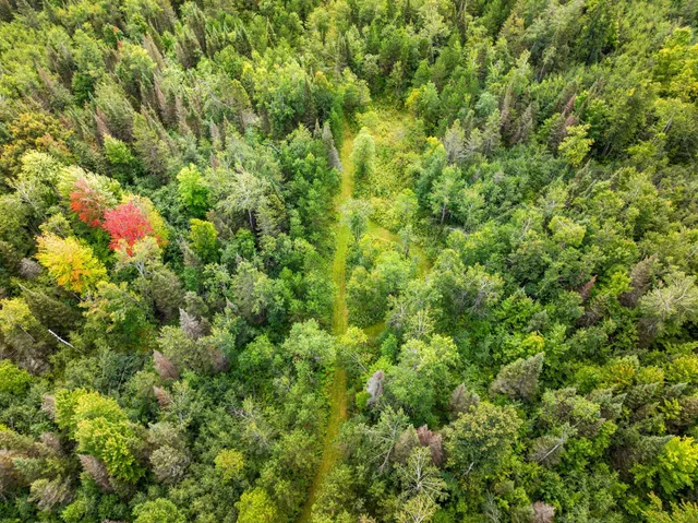 $136,000 | 0 Double Bend Road, Argonne, WI 54511