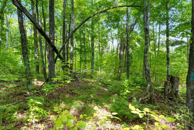 $136,000 | 0 Double Bend Road, Argonne, WI 54511