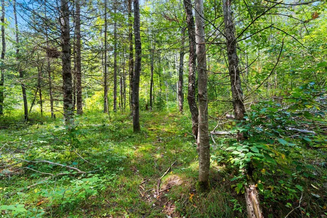 $136,000 | 0 Double Bend Road, Argonne, WI 54511