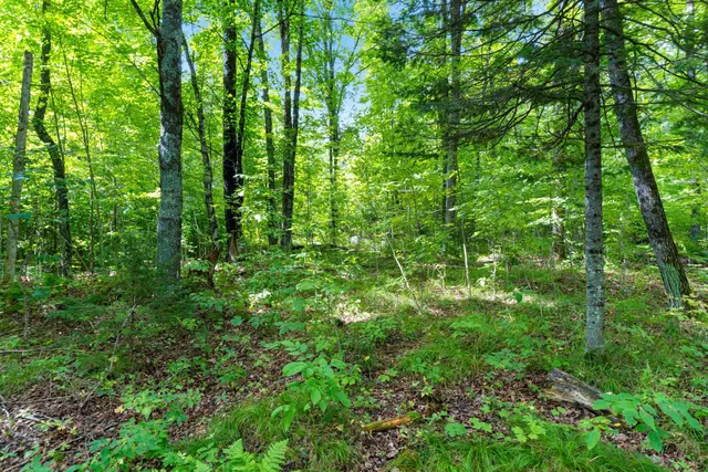 $136,000 | 0 Double Bend Road, Argonne, WI 54511