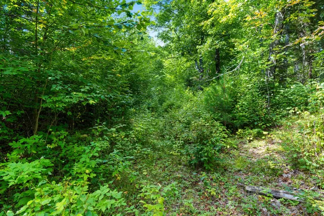 $136,000 | 0 Double Bend Road, Argonne, WI 54511