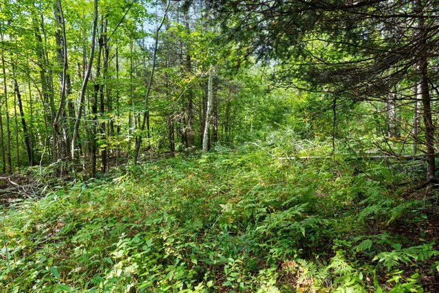 $136,000 | 0 Double Bend Road, Argonne, WI 54511