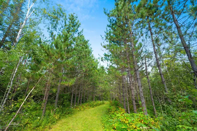 $136,000 | 0 Double Bend Road, Argonne, WI 54511