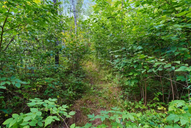 $136,000 | 0 Double Bend Road, Argonne, WI 54511