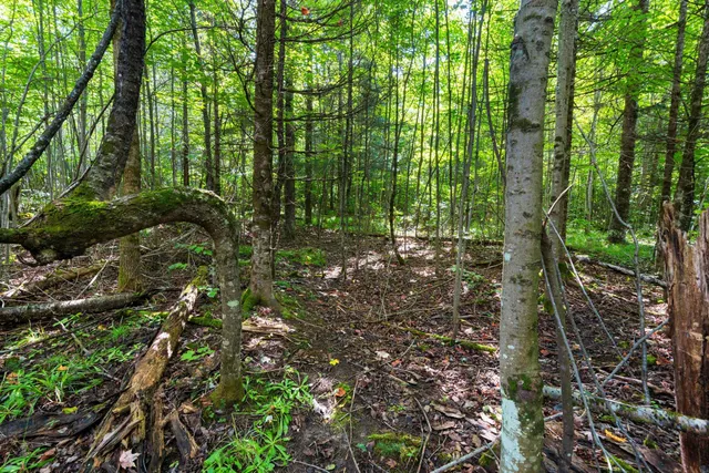 $136,000 | 0 Double Bend Road, Argonne, WI 54511