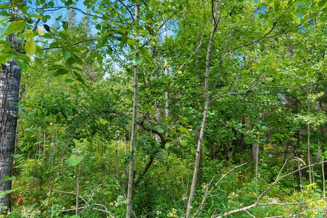 $136,000 | 0 Double Bend Road, Argonne, WI 54511