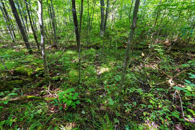 $136,000 | 0 Double Bend Road, Argonne, WI 54511