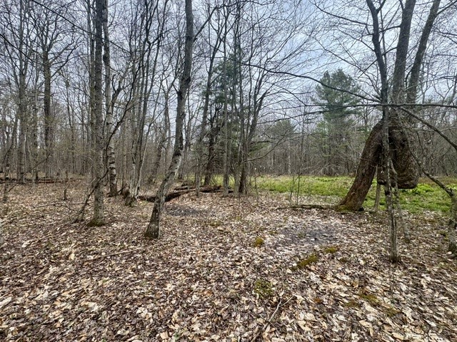 Lot 4 Shaver Hill Road Meridale, NY 13806 - Photo 28 of 44