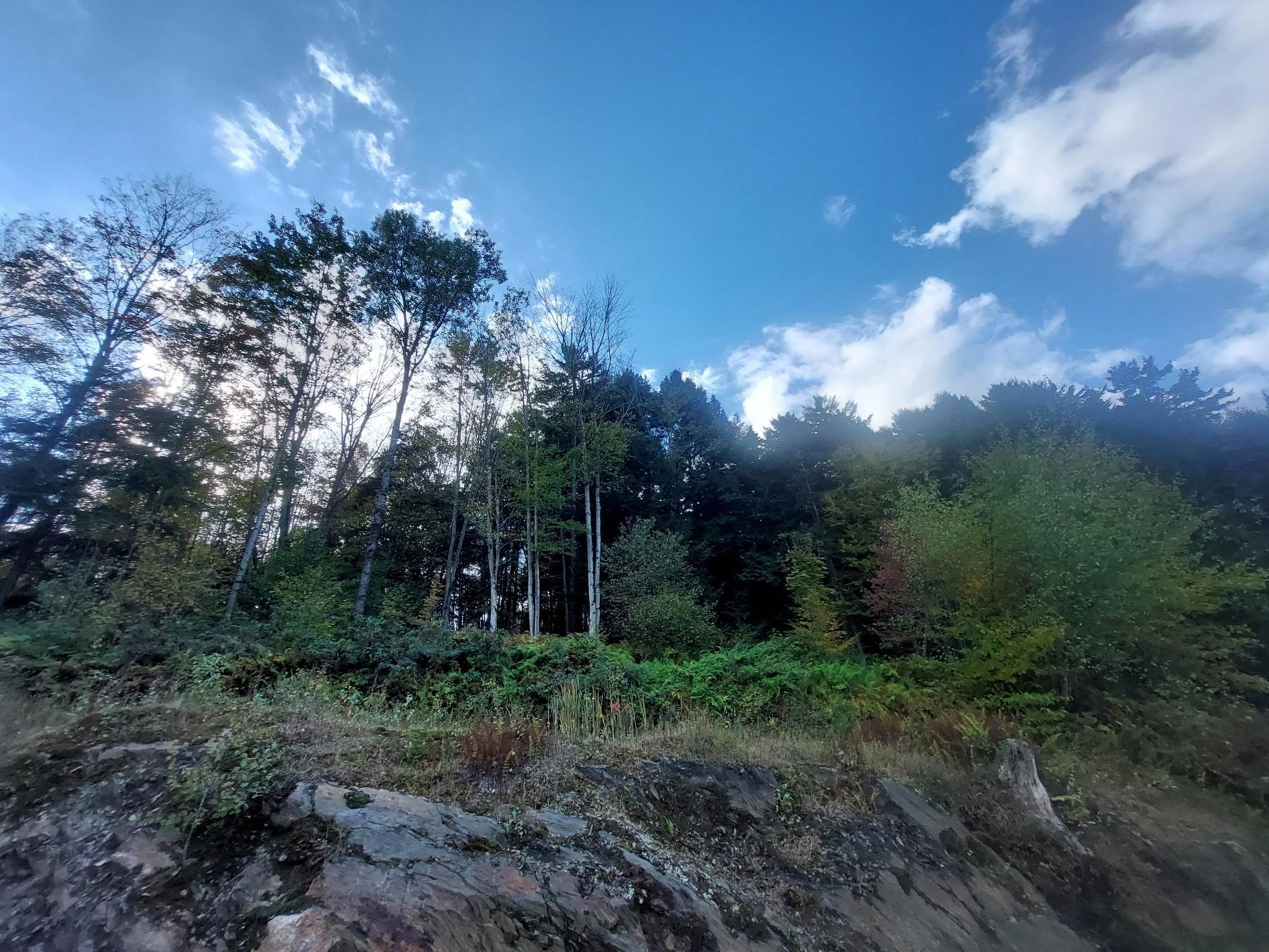 1572 Chandler Road Berlin, VT 05663 - Photo 35 of 53