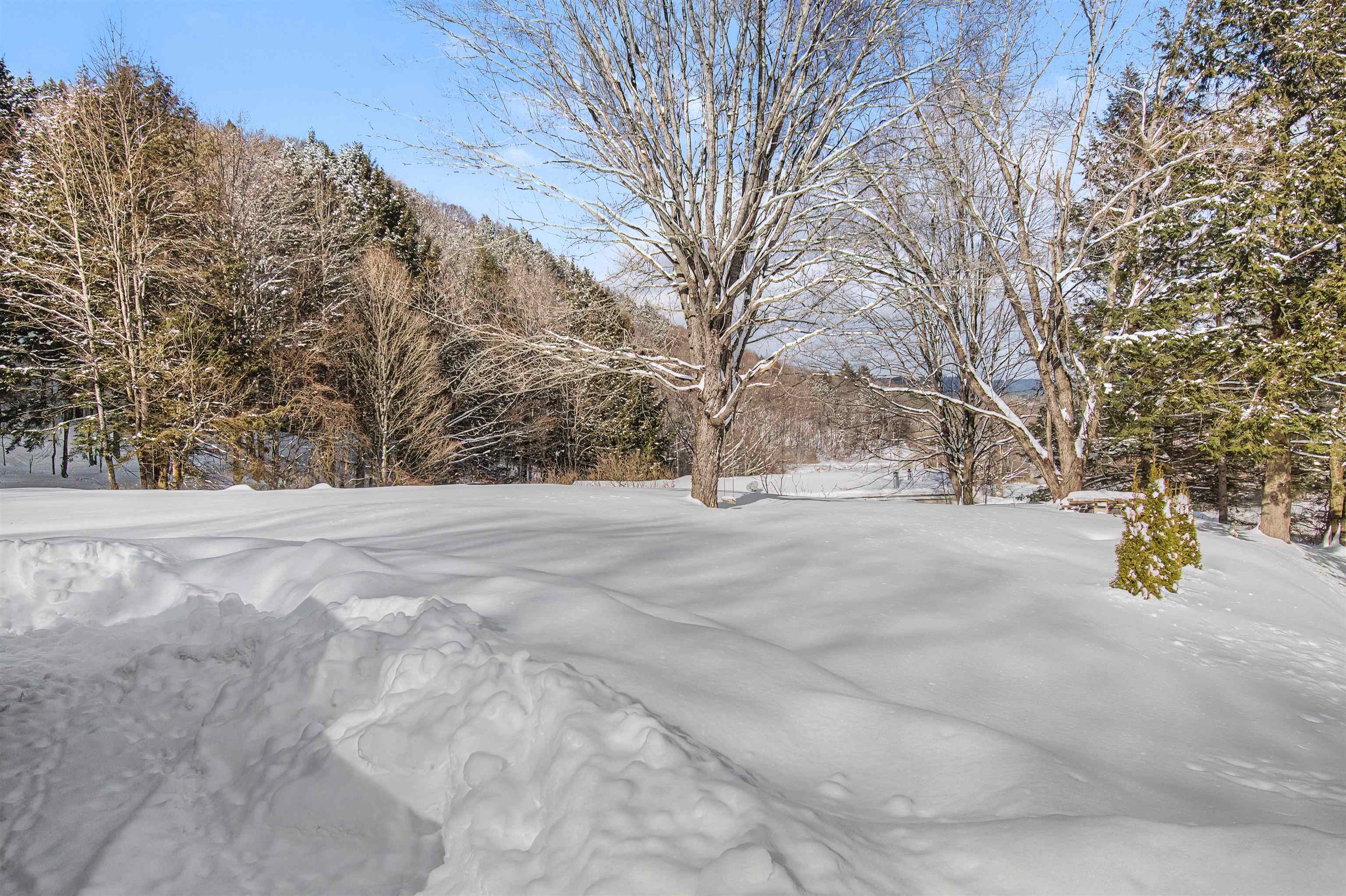 1572 Chandler Road Berlin, VT 05663 - Photo 51 of 53