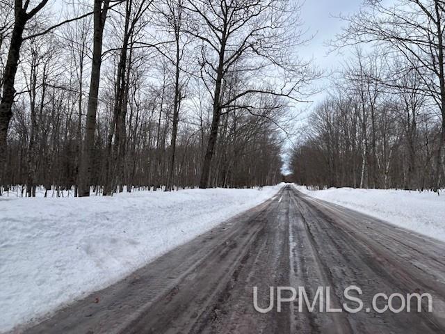 53554 North Superior Road Houghton, MI 49931 - Photo 5 of 41