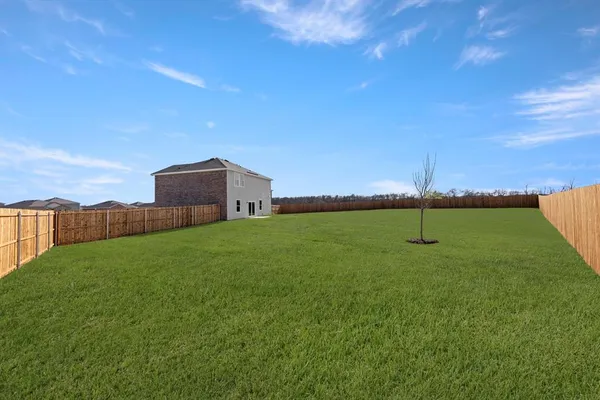 a view of a back yard