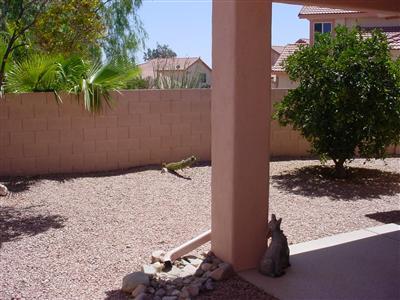 3655 West Mesa Ridge Trail Tucson, AZ 85742 - Photo 7 of 8