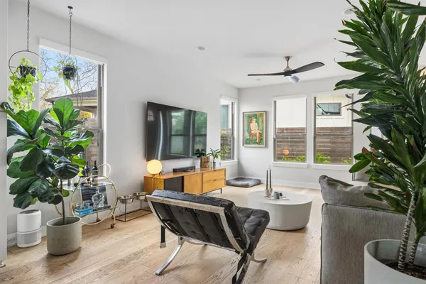 a living room with furniture potted plant and windows