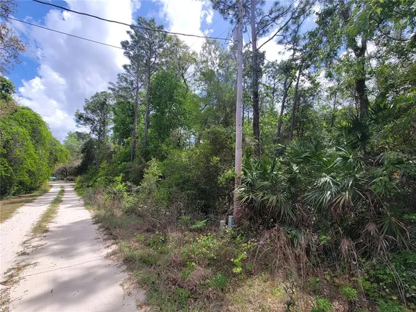 $25,000 | 6685 West Euwell Court, Crystal River, FL 34429