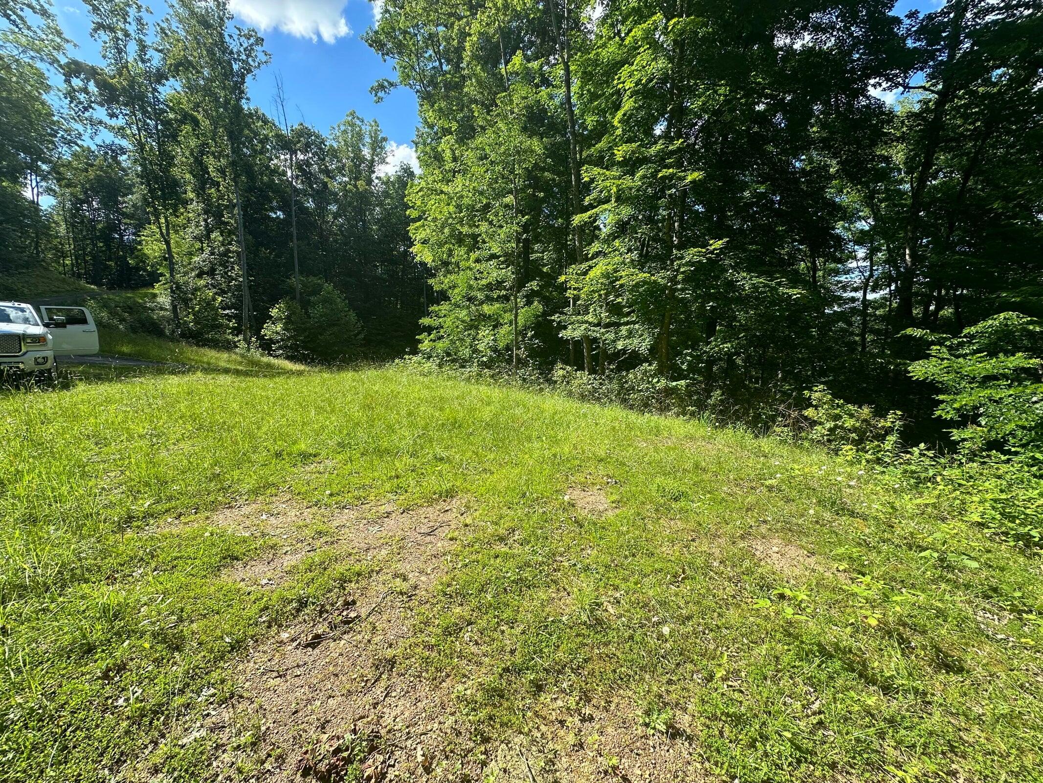 1 Riverview Ridge Hinton, WV 25951 - Photo 11 of 27 Gallery Image 11