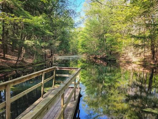 7107 West Webster Road Montague, MI 49437 - Photo 59 of 65 Clear Springs