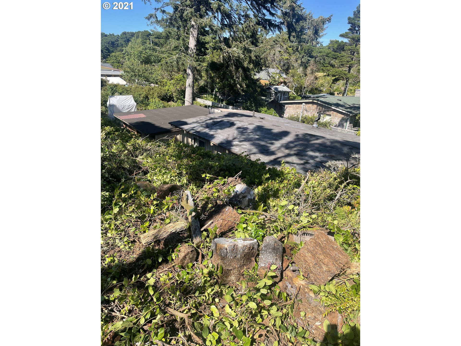 Arago Street, Unit 4 Florence, OR 97439 - Photo 4 of 6 Gallery Image 4