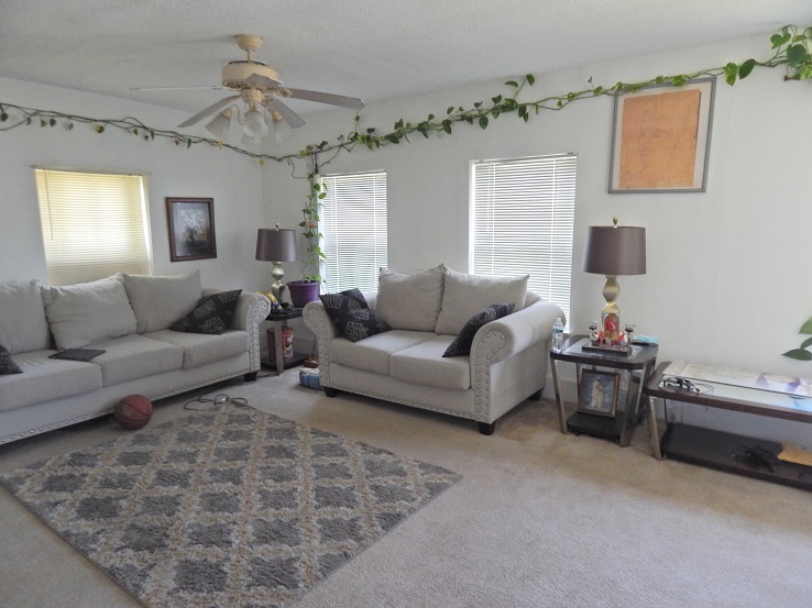 721 North 7th Street Rochelle, IL 61068 - Photo 4 of 13