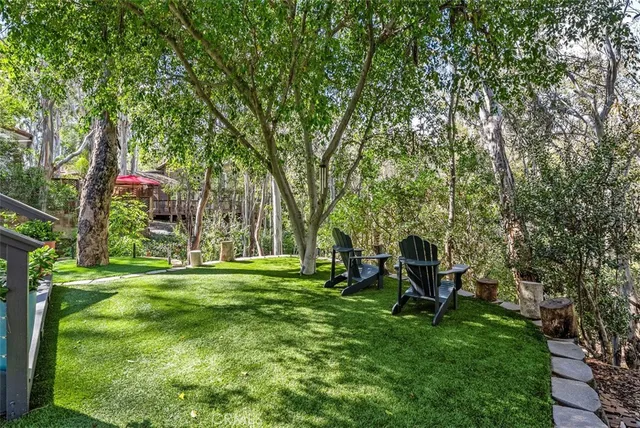 a view of a tree with a yard