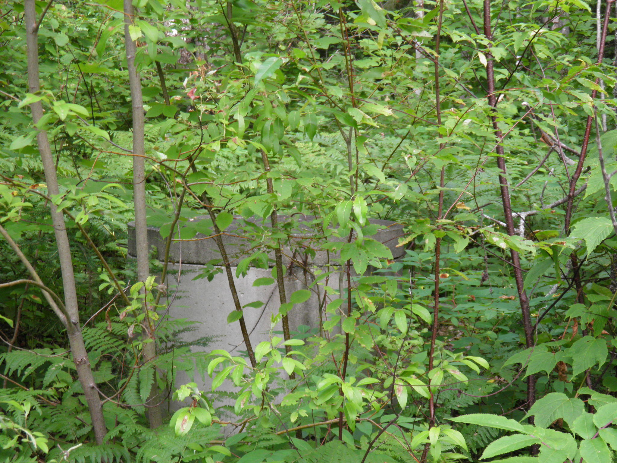 7 Mount Blue Road South Avon, ME 04966 - Photo 10 of 31 P8240226