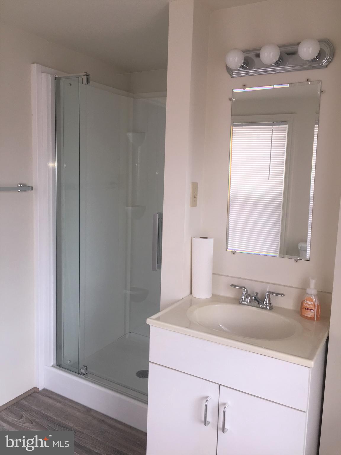 146 West Patrick Street Frederick, MD 21701 - Photo 9 of 20 a bathroom with a sink and a mirror