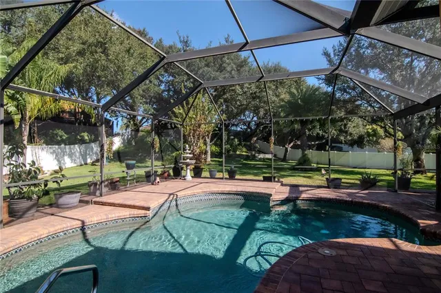 a view of a yard with plants