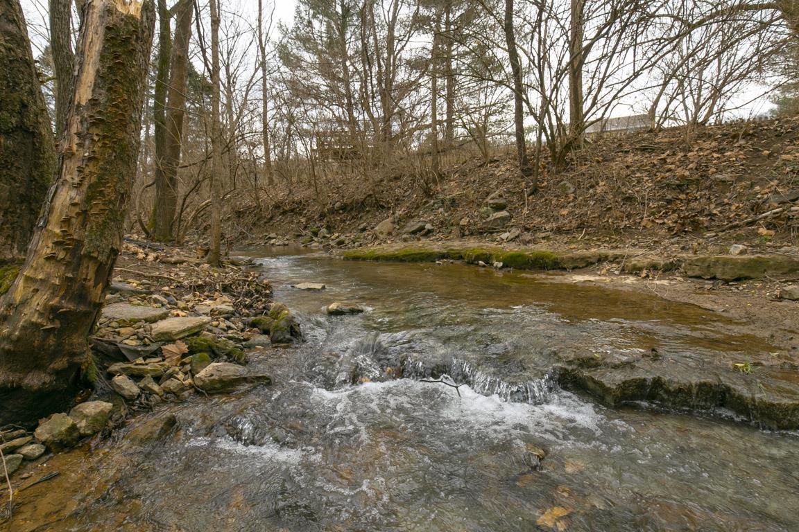 885 Holly Tree Gap Road Brentwood, TN 37027 - Photo 27 of 28 a view of a lake with lots of trees