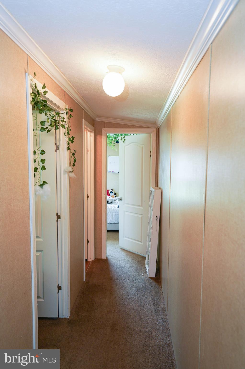 14545 Jackson Boulevard Eden, MD 21822 - Photo 20 of 36