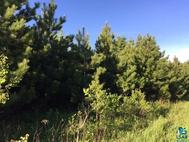 1142 Camp 20 Road Grand Marais, MN 55604 - Photo 17 of 17