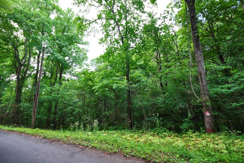 0 Blowing Cave Road Sevierville, TN 37876 - Photo 19 of 34 Gallery Image 19