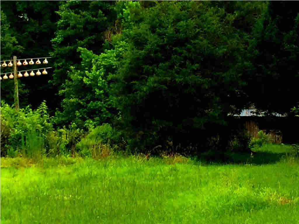 2885 Davis Road Byram, MS 39272 - Photo 25 of 30 Don't forget about the shed !