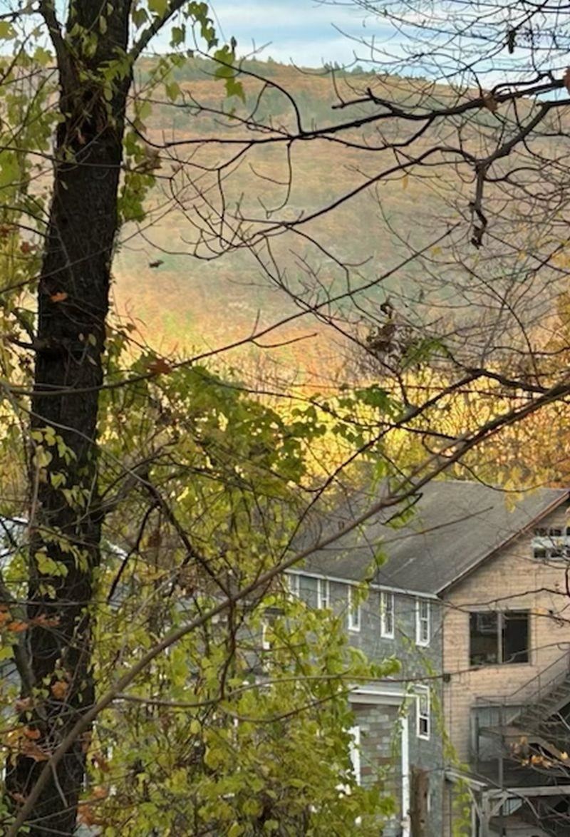 116 Birge Street, Unit 3 Brattleboro, VT 05301 - Photo 36 of 36