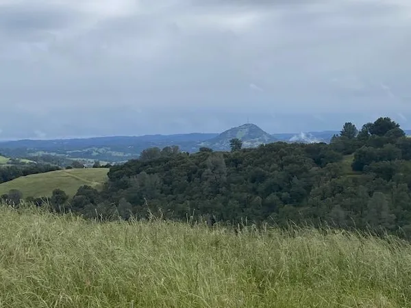 a view of a lush green space with sea