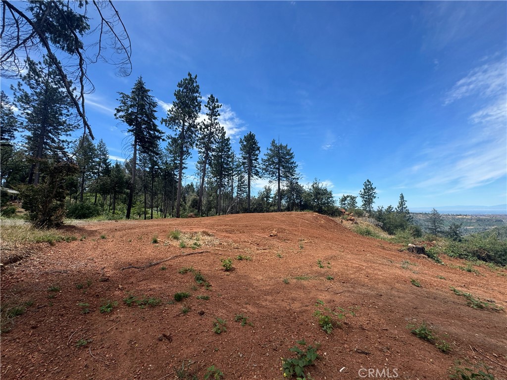 1400 Bader Mine Road Paradise, CA 95969 - Photo 14 of 16
