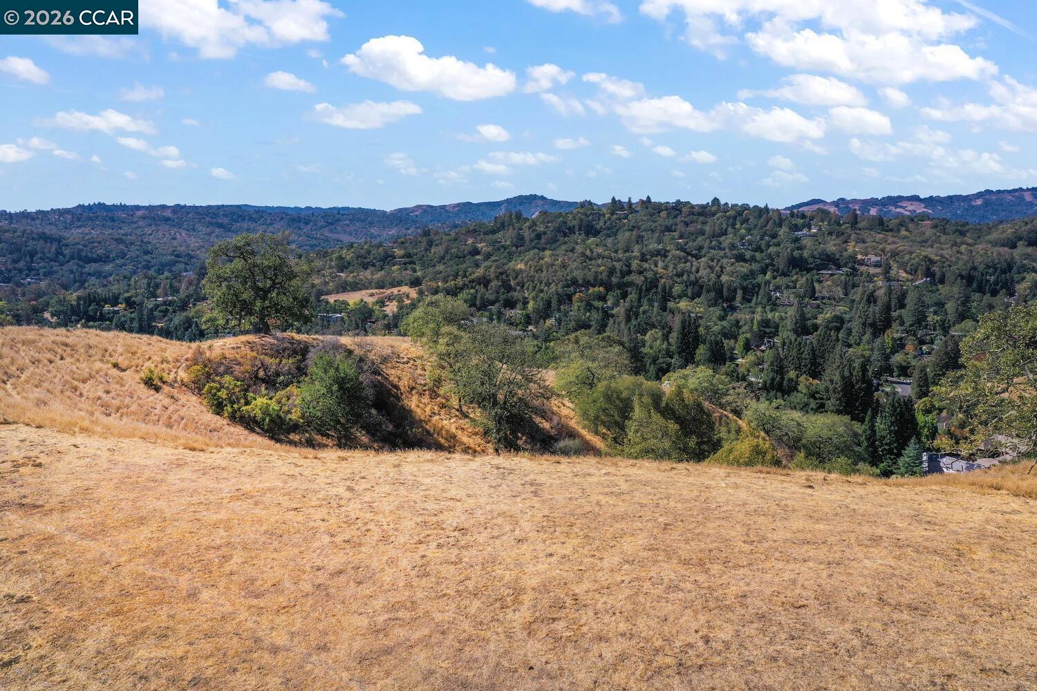 1240 Monticello Road Lafayette, CA 94549 - Photo 37 of 38