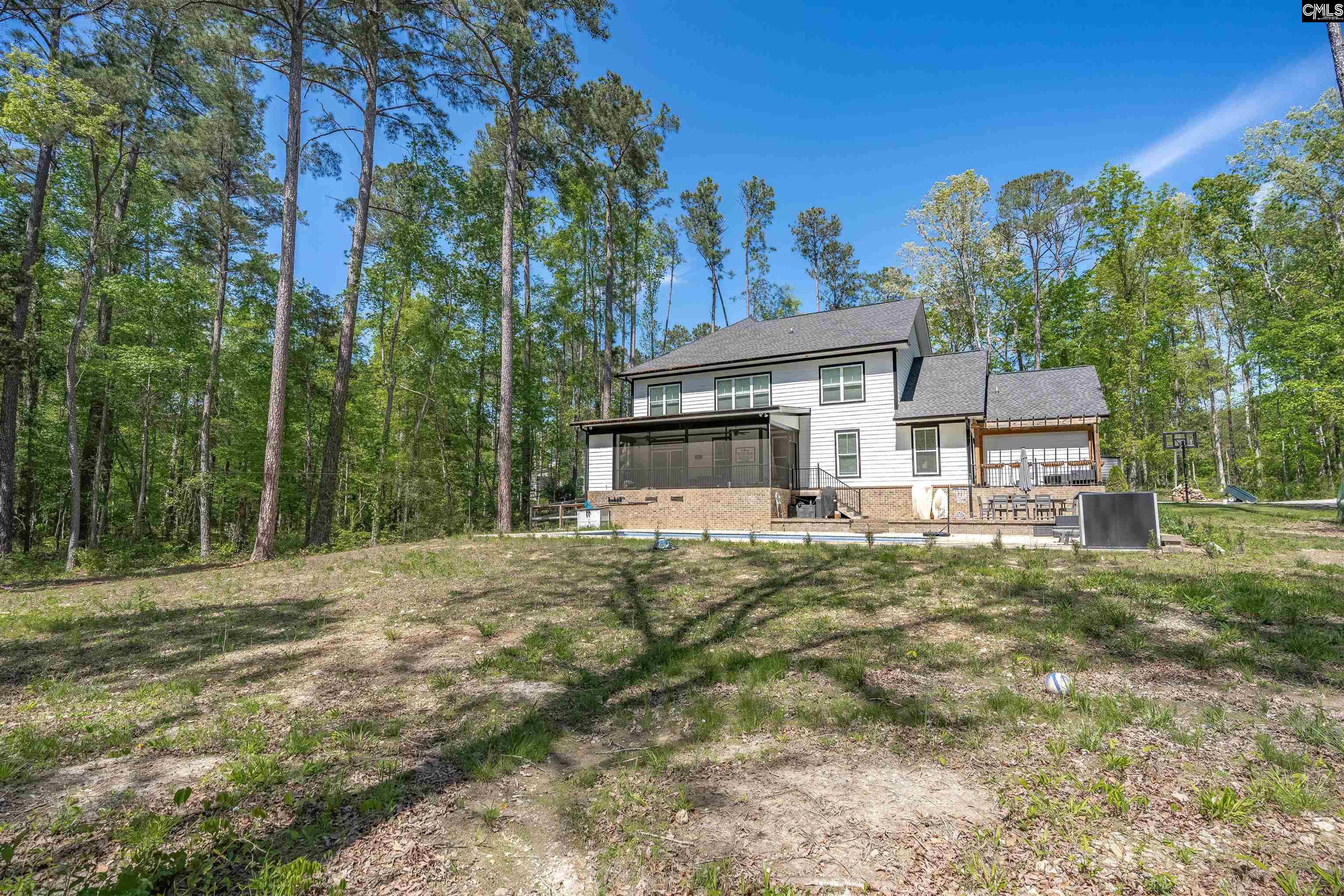 437 Amicks Ferry Road Chapin, SC 29036 - Photo 38 of 45