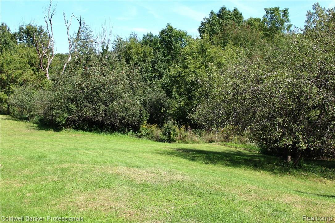 4044 West Brocker Road Metamora, MI 48455 - Photo 28 of 36 many different trees...