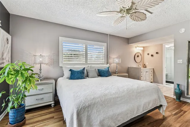 a view of a house with a yard and potted plants