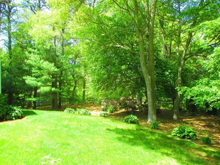 52 Thread Needle Lane Centerville, MA 02632 - Photo 21 of 32 a view of yard with green space