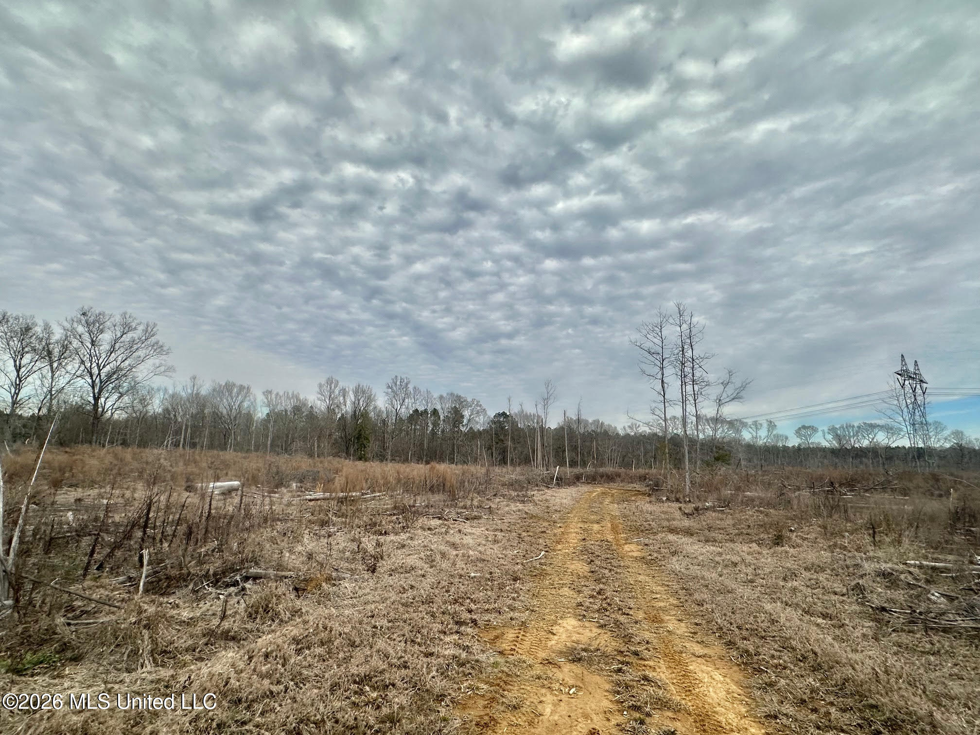 0 Prentiss Crump Road Utica, MS 39175 - Photo 12 of 15 669