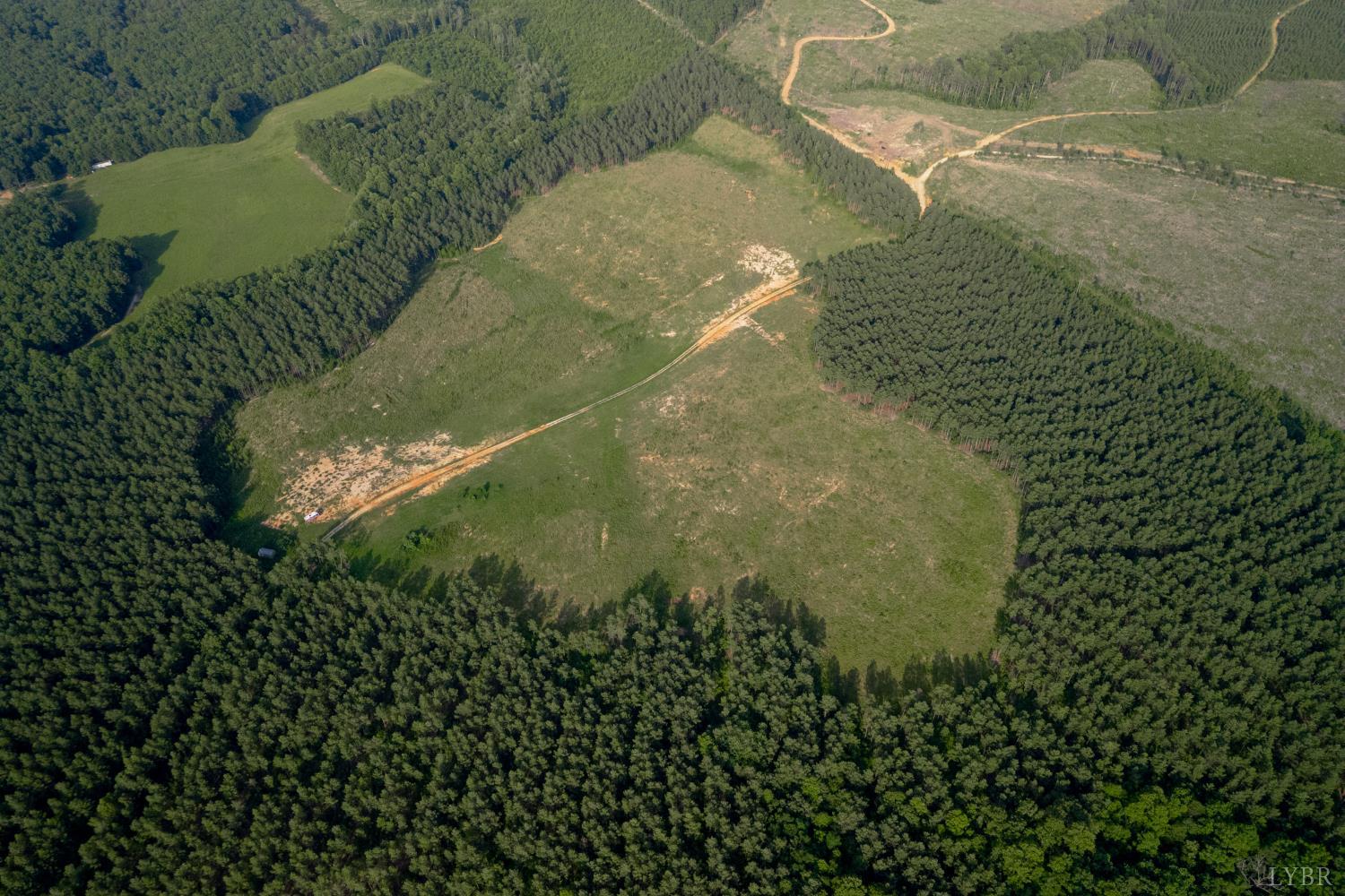 1100 Grandmas Hill Road Amherst, VA 24521 - Photo 11 of 19 a view of a garden