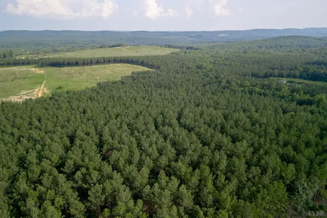 a view of a lake with a mountain