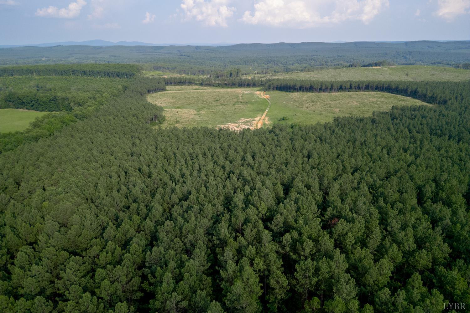 1100 Grandmas Hill Road Amherst, VA 24521 - Photo 13 of 19 a view of a lake with a mountain