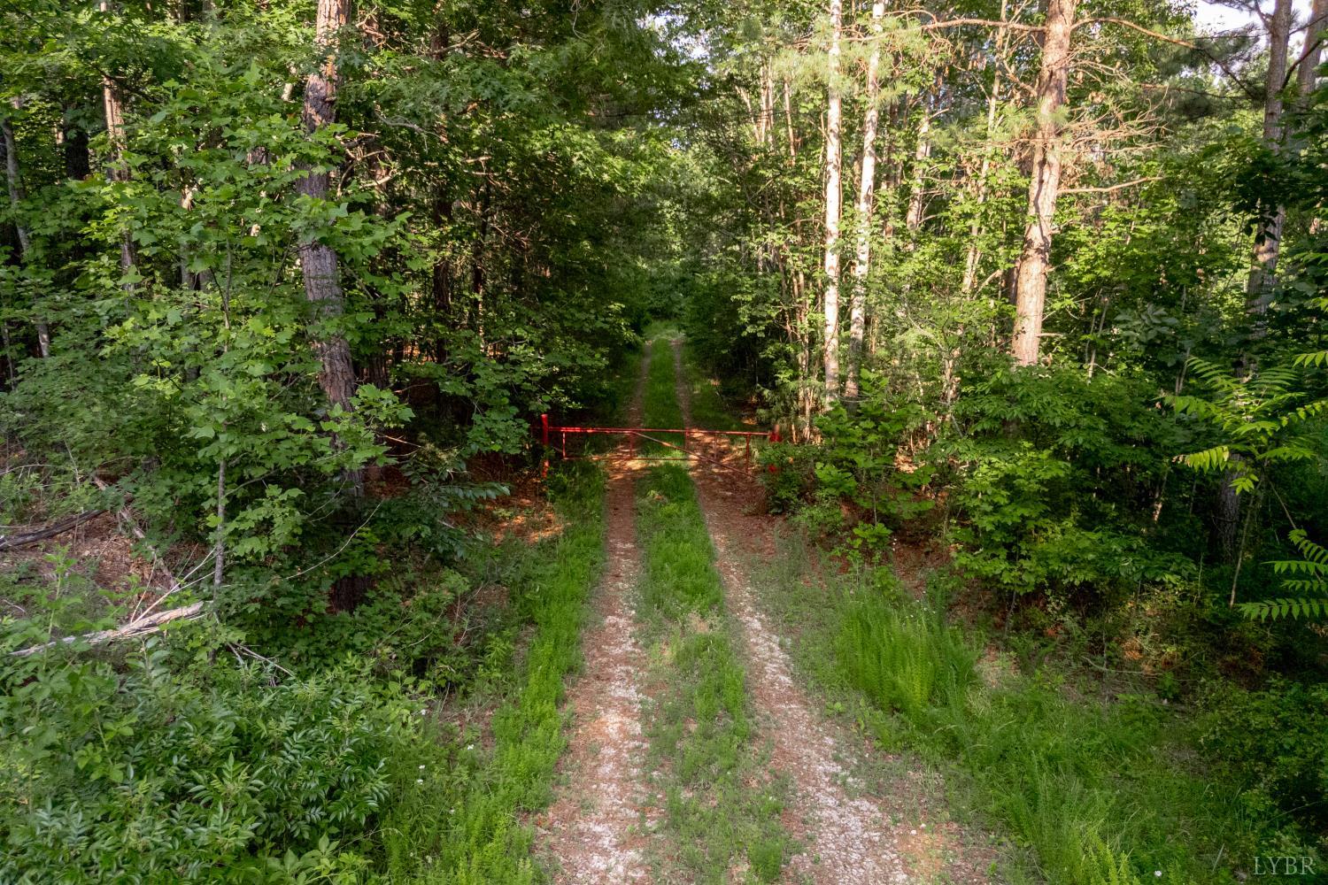 1100 Grandmas Hill Road Amherst, VA 24521 - Photo 16 of 19 a pathway of a garden