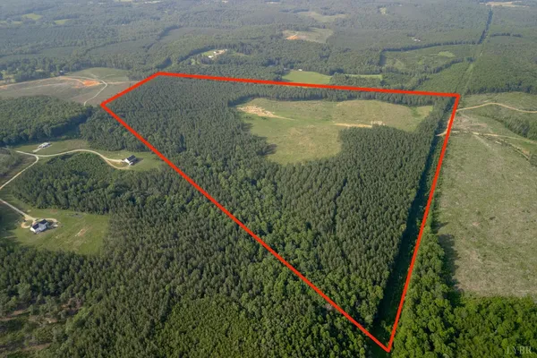 a view of a small yard