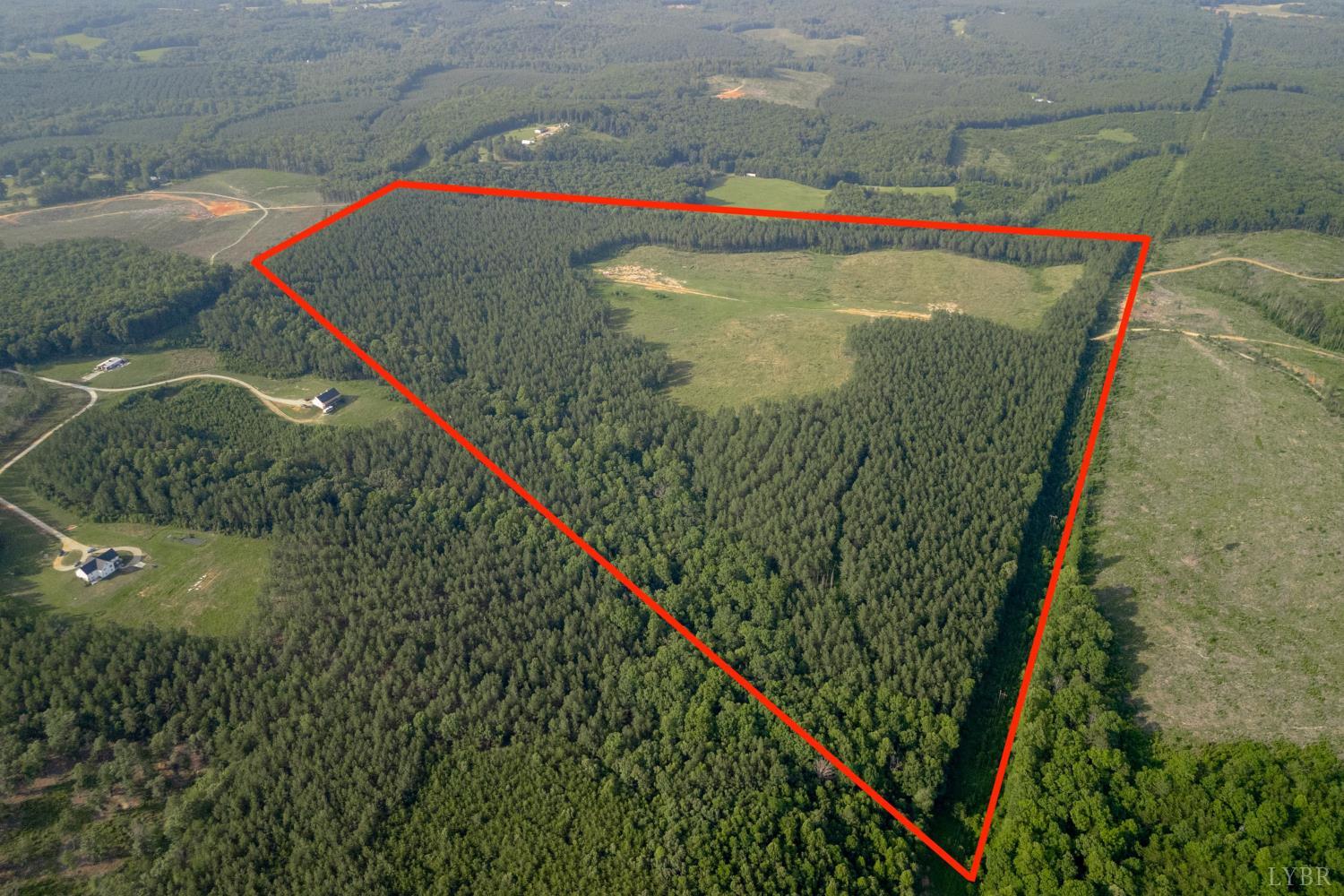 1100 Grandmas Hill Road Amherst, VA 24521 - Photo 5 of 19