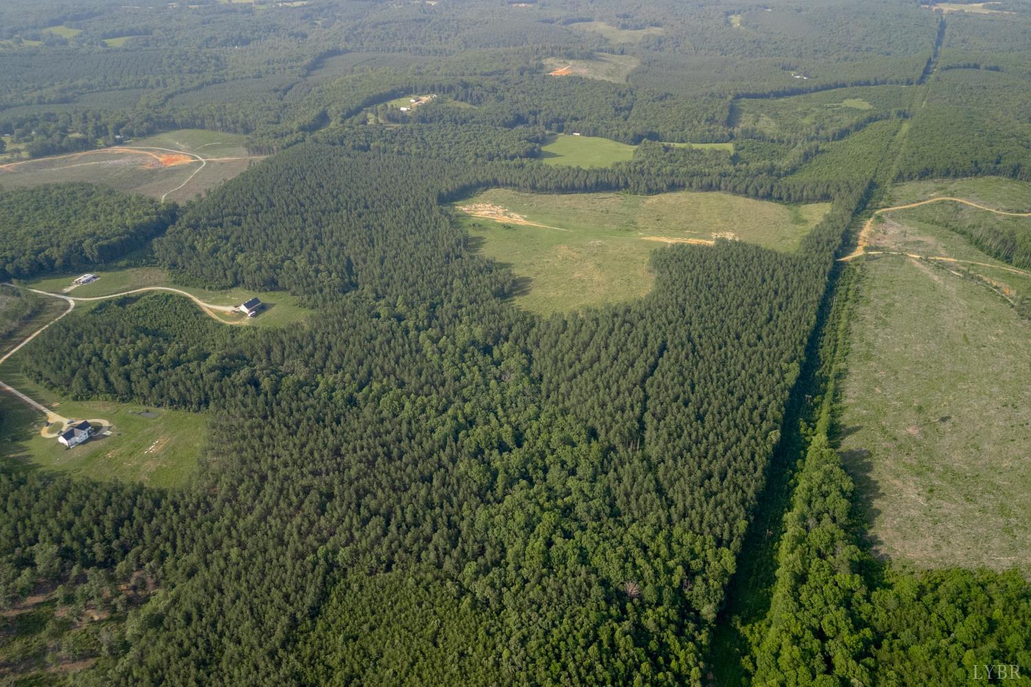 1100 Grandmas Hill Road Amherst, VA 24521 - Photo 6 of 19 a view of a small yard